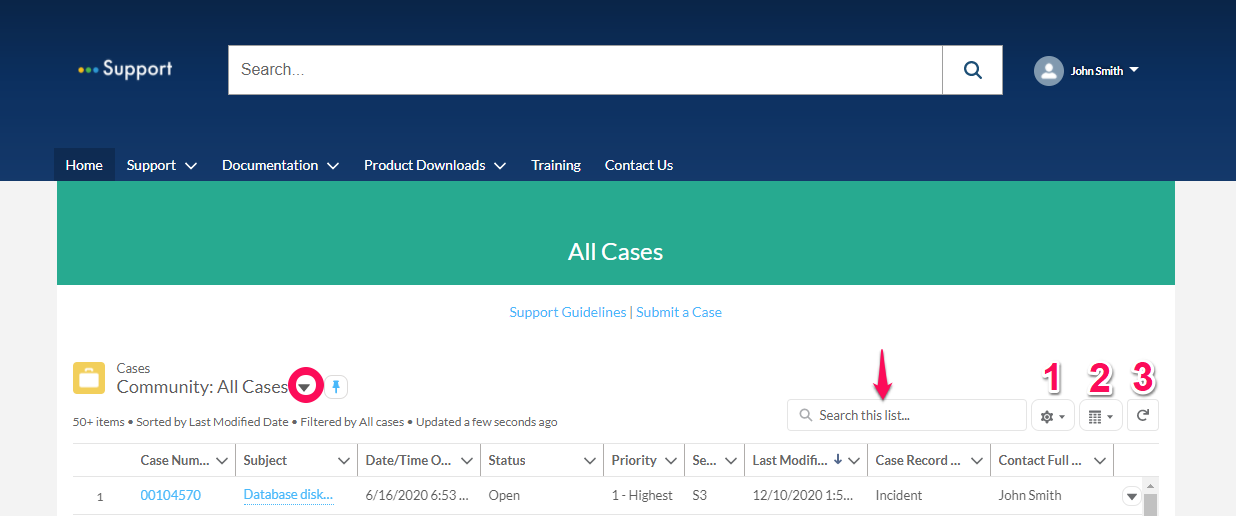 Viewing Cases
